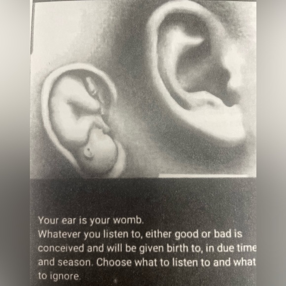 Meet your Posher, Farah - Picture 4 of 4